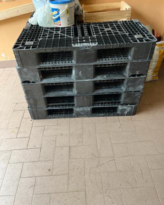 Pallet in plastica