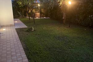 Disponibilità appartamento