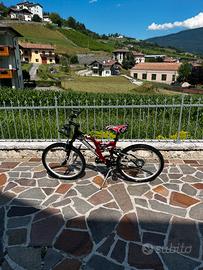 Bicicletta per bambini