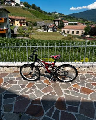 Bicicletta per bambini