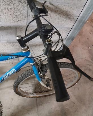 Bici come da foto