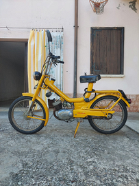 Atala Rizzato Califfo 1967