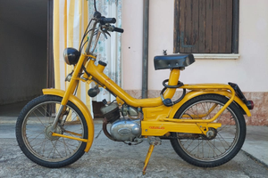 Atala Rizzato Califfo 1967