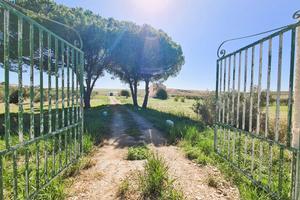 Villa singola Favara [AG868VRG]