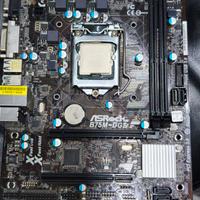 Scheda madre e CPU intel