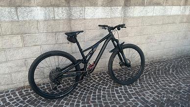 Specialized Stumpjumper 29– MTB