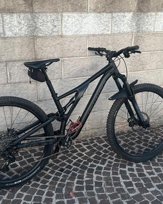 Specialized Stumpjumper 29– MTB