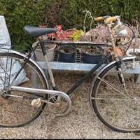 Bici trarovi