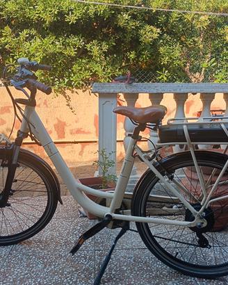bicicletta elettrica 