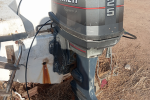 Fuoribordo mariner magnum 4