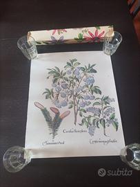 poster stampa floreale