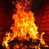 Legna stagionata a Genova e dintorni