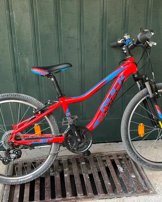 Bicicletta MTB Rock Mountain 24”