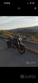 Keeway rkf 125 2023