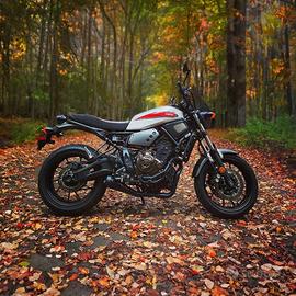 scarico yamaha xsr700 Kelpi Shorty
