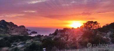 SARDEGNA ISOLA ROSSA 2/3 posti