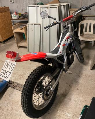 Trial beta zero 260