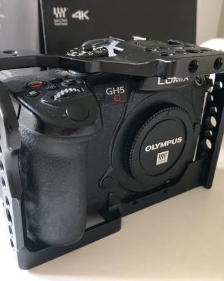 panasonic lumix gh5s