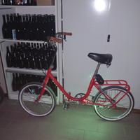bicicletta Graziella 