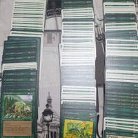 Magic the Gathering vecchie ed. - Lotto_3 Verde