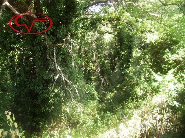 Terreno di 44 m² a Bucine - Vista 3