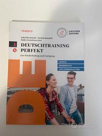 Deutschtraining Perfekt + Sommerlektüre (VOLUME 1)