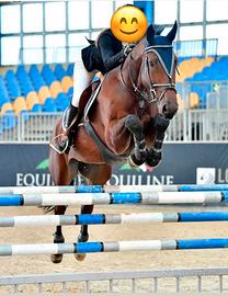 Cavallo MEZZAFIDA