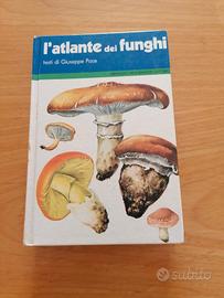 l'atlante dei funghi