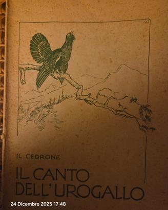 Libro venatorio