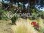 Immagine 29