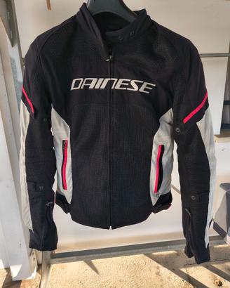 Gubbetto Dainese