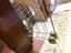 Immagine 25