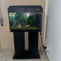 Acquario "Itaca" 54lt. + tavolino nero e accessori