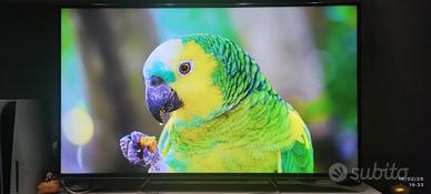 Smart TV 4k 55 pollici