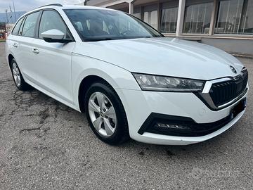 Skoda octavia 2.0 116 cv scr evo executive