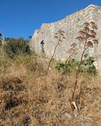 Terreno in montagna con casali