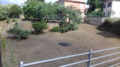 Terreno edificabile Laconi