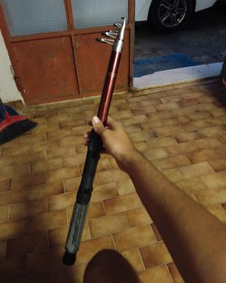 canna da pesca