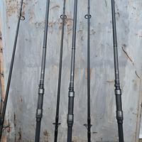 Canne carpfishing