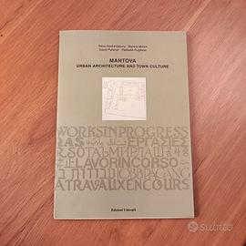 Libro di Architettura su Mantova 