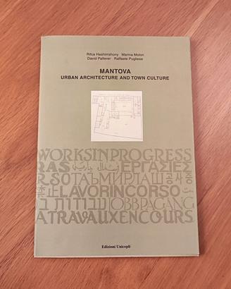 Libro di Architettura su Mantova 