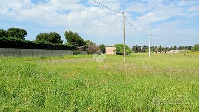 TER. AGRICOLO A BRINDISI