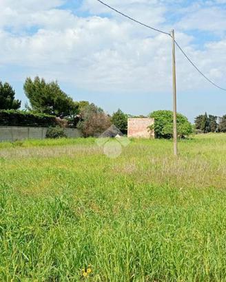 TER. AGRICOLO A BRINDISI