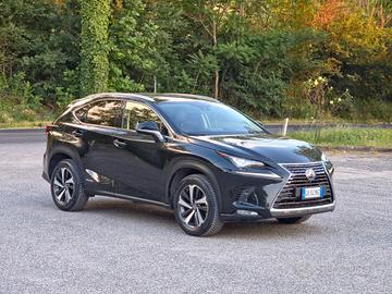 Lexus NX 300h Hybrid 4WD F-Sport E6 Automatico 202