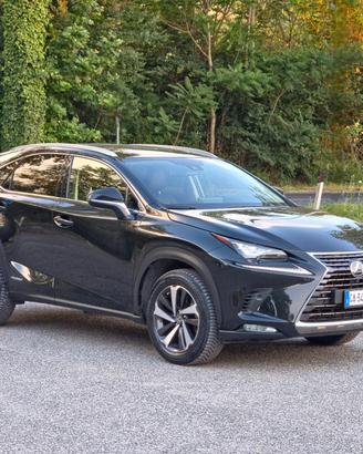 Lexus NX 300h Hybrid 4WD F-Sport E6 Automatico 202