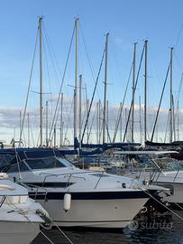 BARCA CARVER MONTEGO 28
