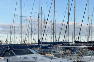 BARCA CARVER MONTEGO 28