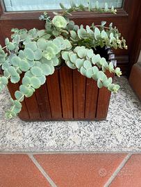 Fioriera artigianale in teak