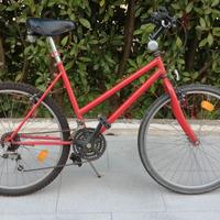 Bici MTB mountain bike ruota 26 "