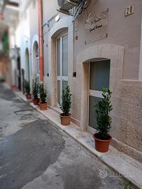 Appartamento indipindente